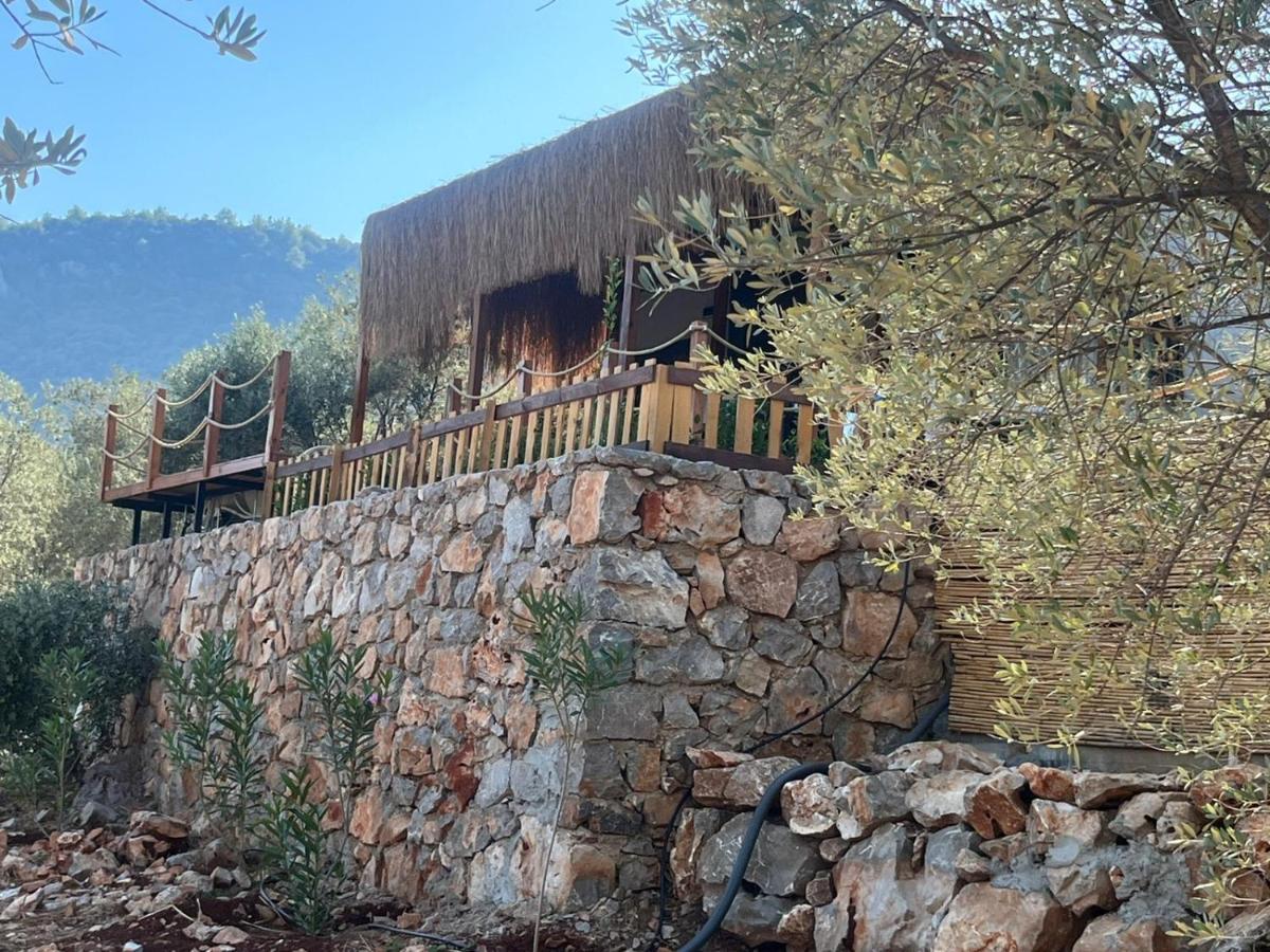 Gokceovacik Lovin Goecek Tiny House Butterfly 빌라 외부 사진