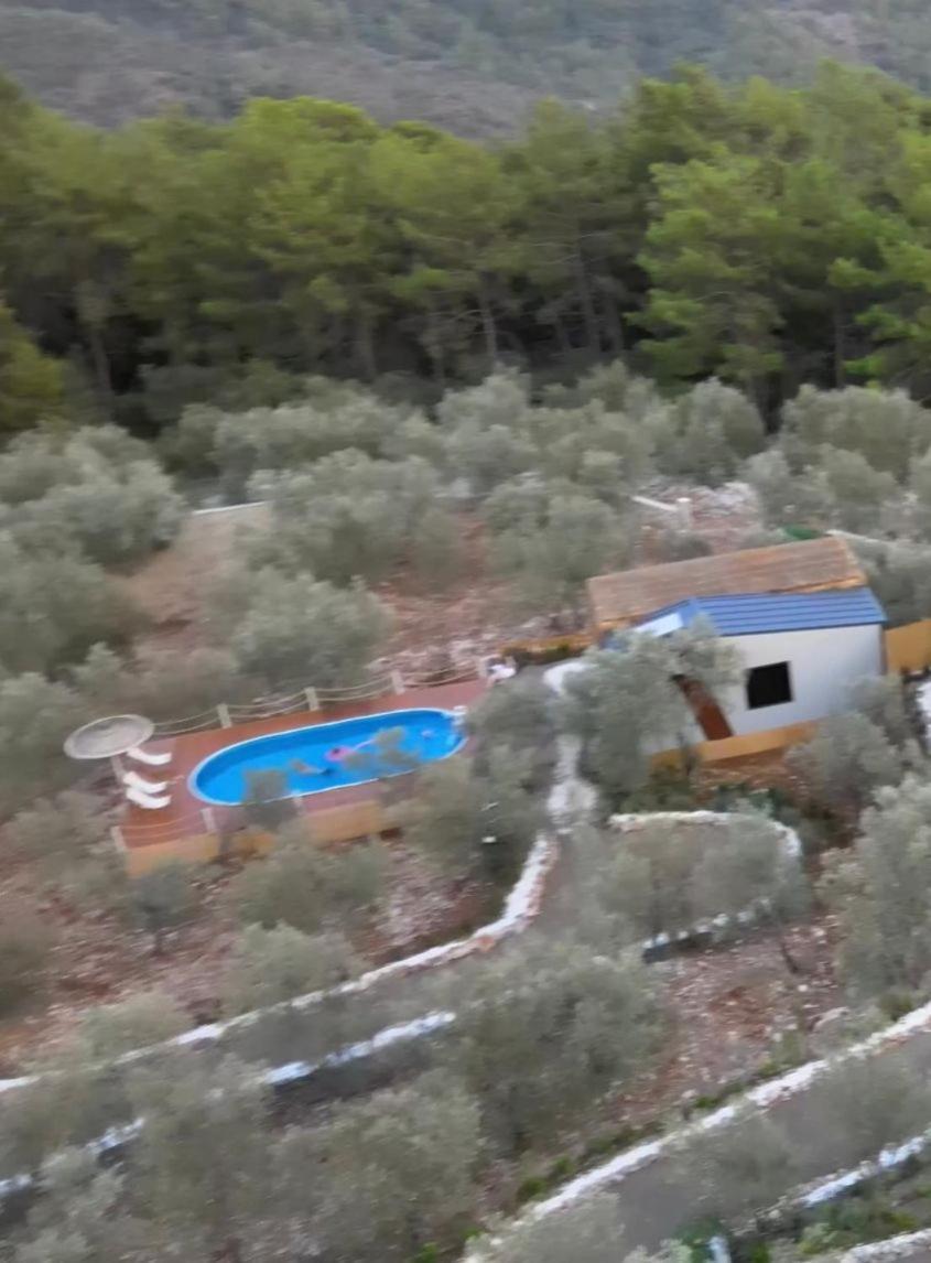 Gokceovacik Lovin Goecek Tiny House Butterfly 빌라 외부 사진